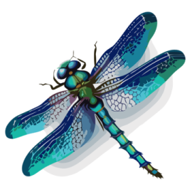 a blue and green dragonfly on a white background