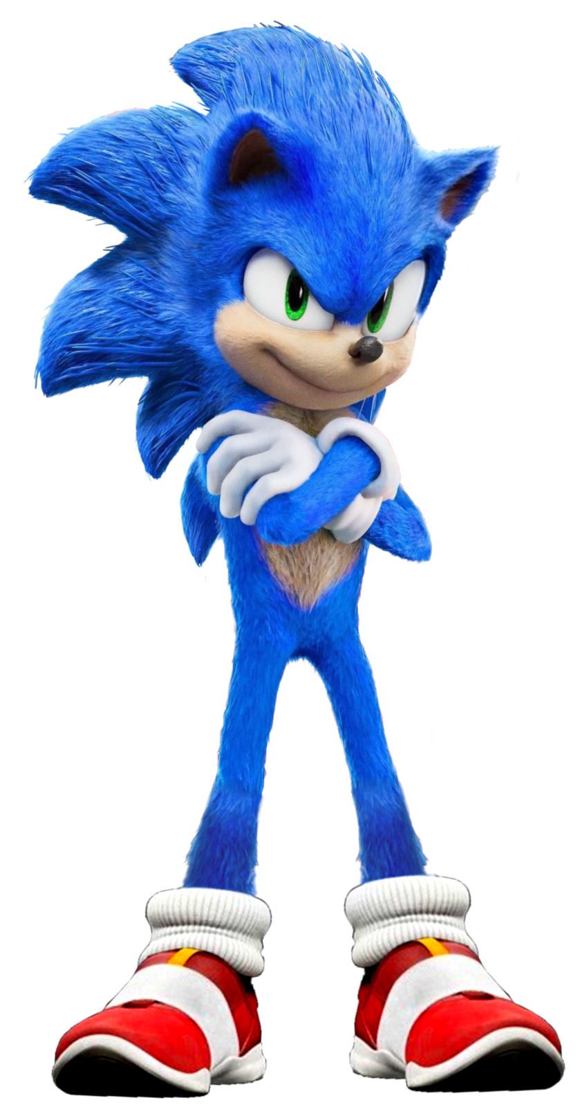 sonic the hedge