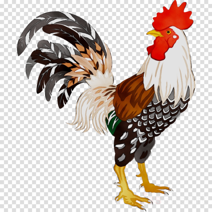 a rooster standing on its hinds clipart