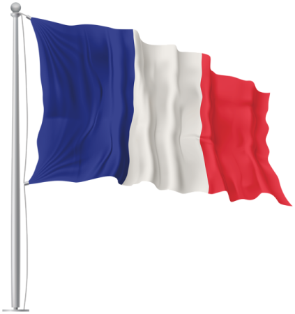 a french flag flying in the wind