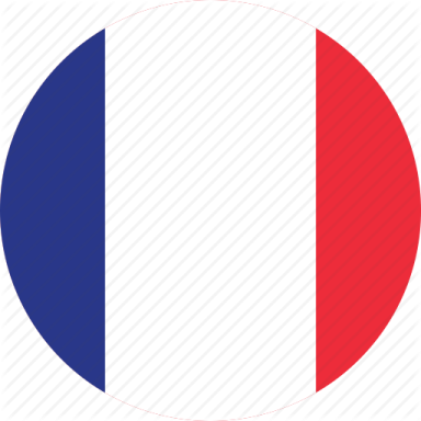 the french flag in a circle