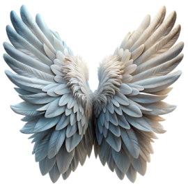 an image of a white and blue wing
