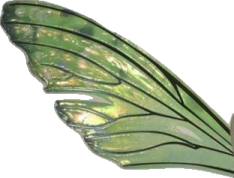 a green fairy wing with black and white stripes