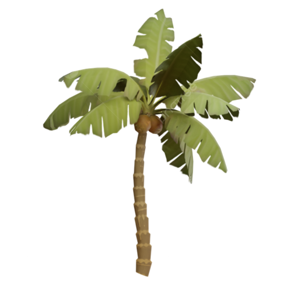 a green palm tree on a white background