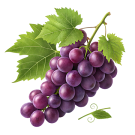 a bunch of grapes with green leaves