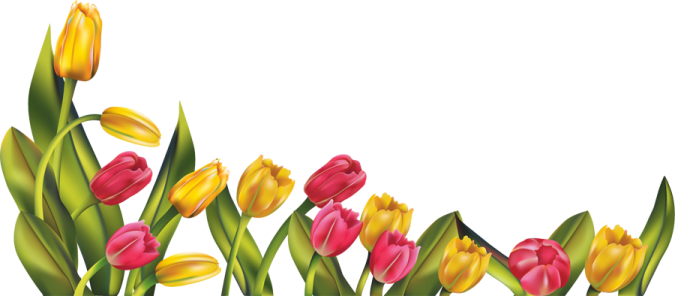 a bunch of colorful tulips