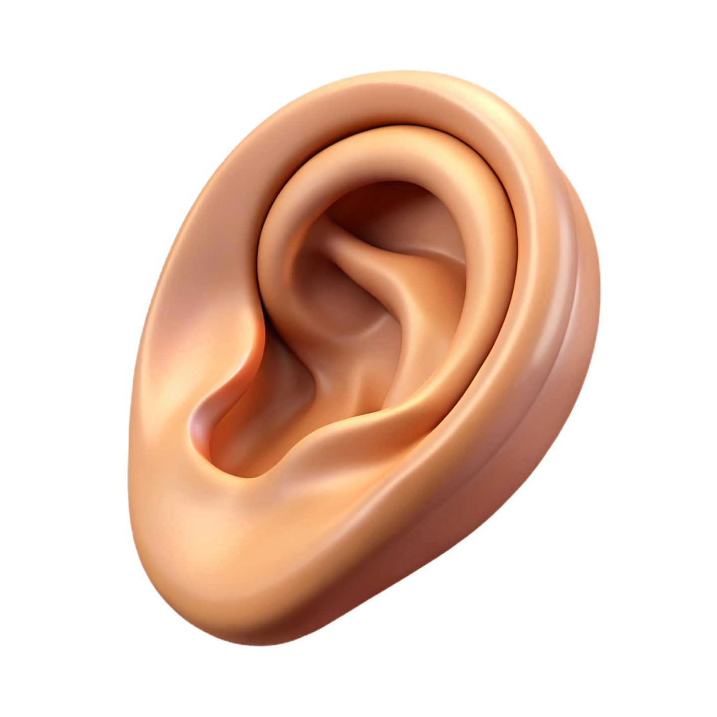 an ear is shown in this image