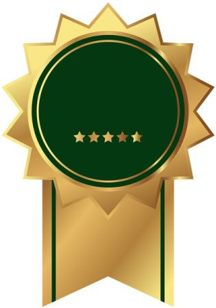 a gold medal with three stars on it