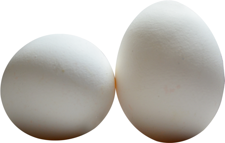 two white eggs on a white background