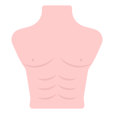 a male torso with no shirt