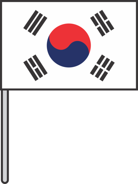 the flag of south korea