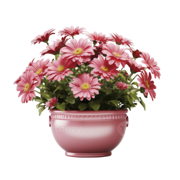 a pink flower pot with pink flowers in it