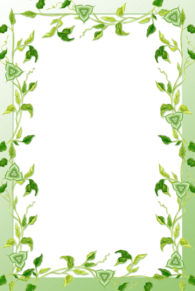 a green frame with leaves on it