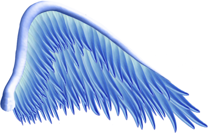an image of a blue angel wing