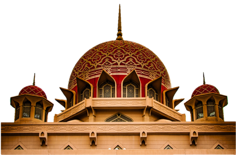 the roof of a building