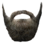 a close up of a beard on a white background
