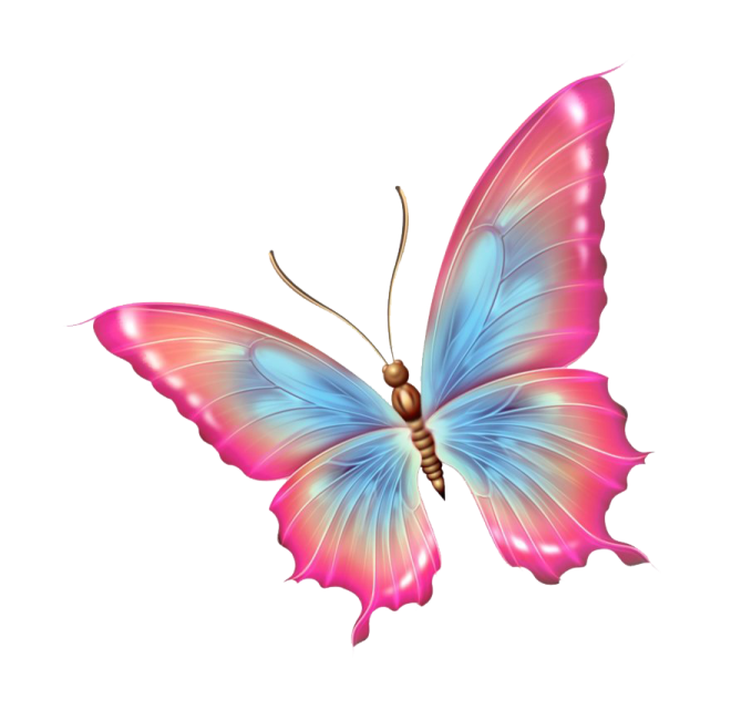 a colorful butterfly on a white background
