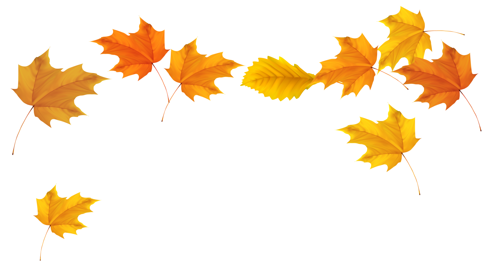 a bunch of yellow and orange leaves