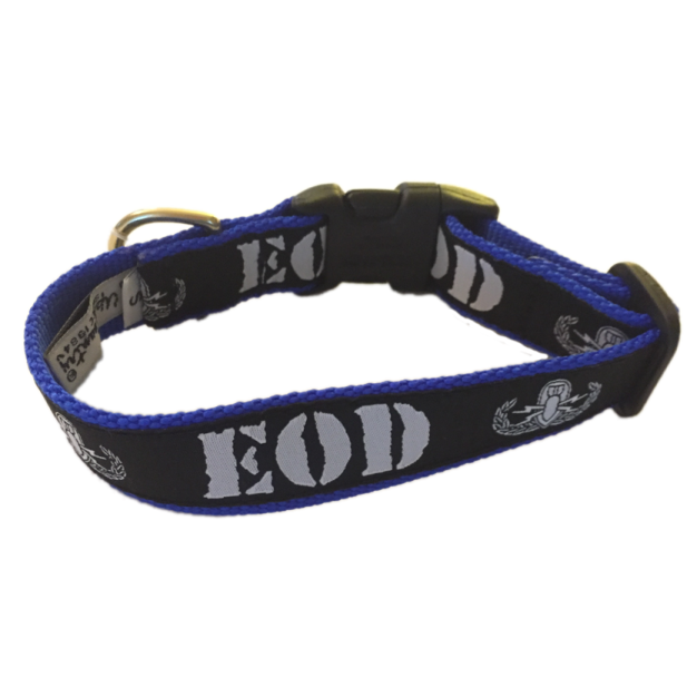 a black and blue dog collar with skulls on it