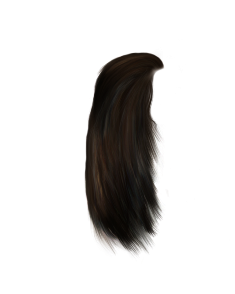 a drawing of a long hair on a white background
