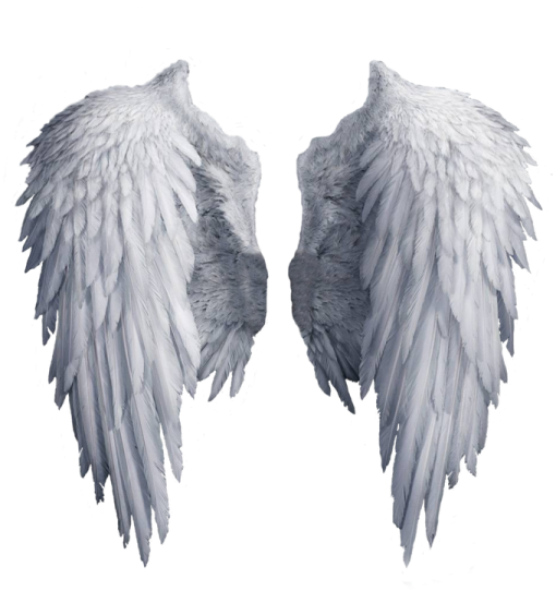 a pair of white wings on a white background