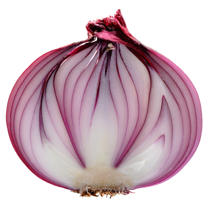 a close up of an onion on a white background