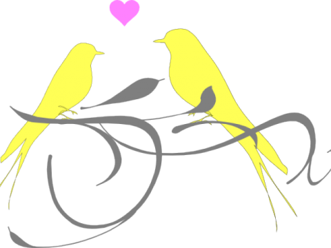 a couple of birds sitting on top of a tree