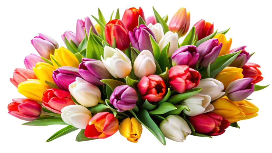 a bouquet of colorful tulips