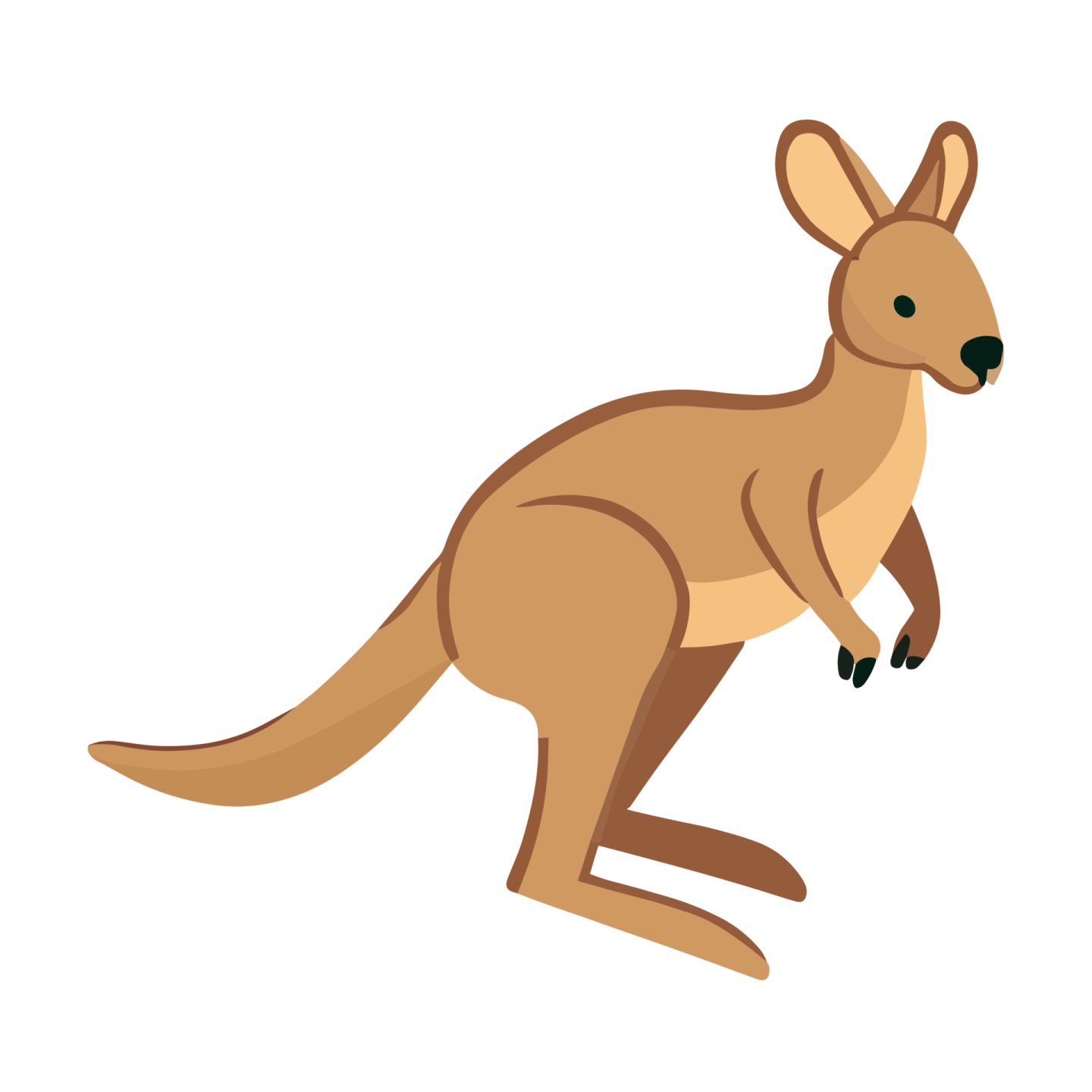 an image of a kangaroo on a white background