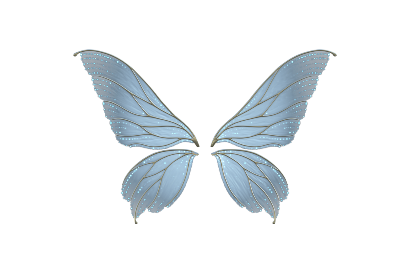 a blue butterfly on a white background