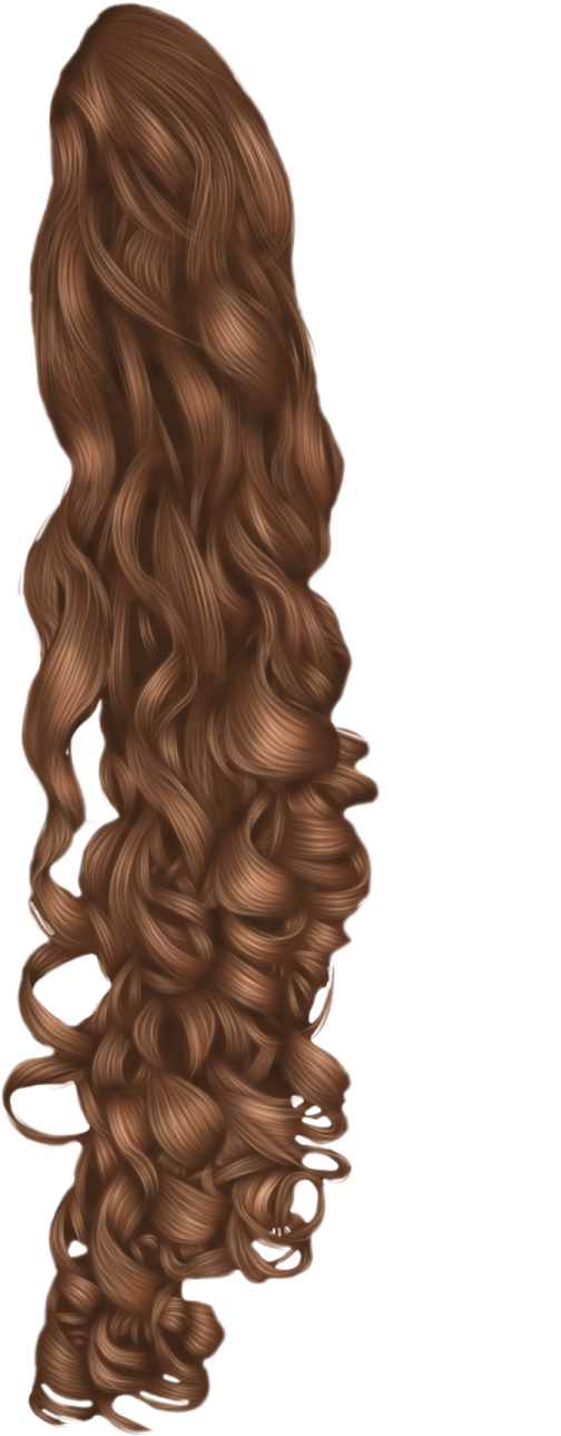 a drawing of a woman's hair