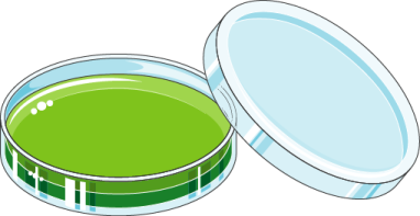 a jar of green paint