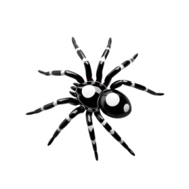 a black and white spider on a white background