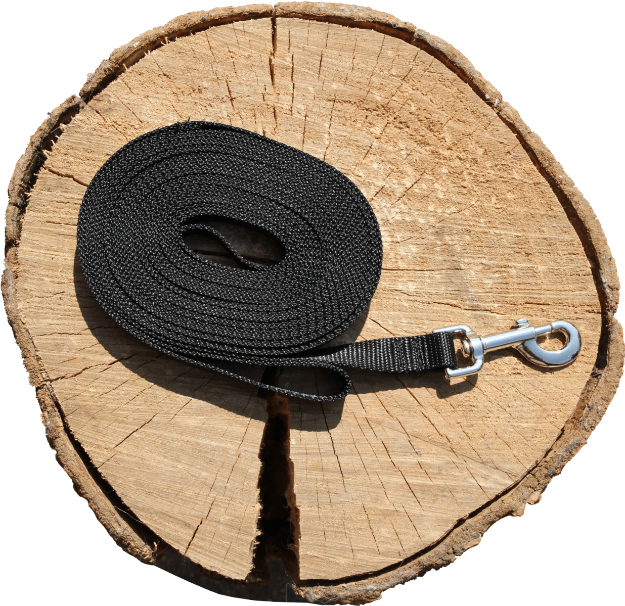 a black leash on a tree stump
