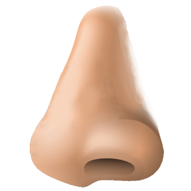 a close up view of a female's butt
