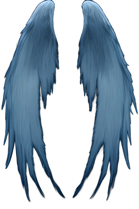 a pair of blue wings on a white background