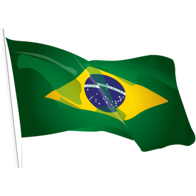 a brazil flag waving in the wind