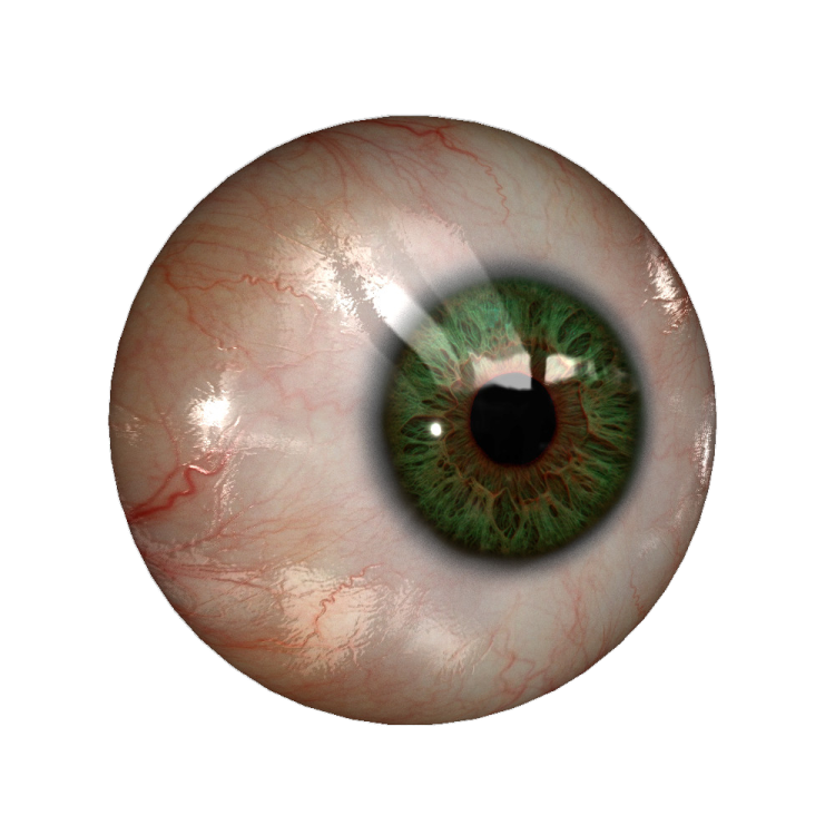 a close up view of an eye