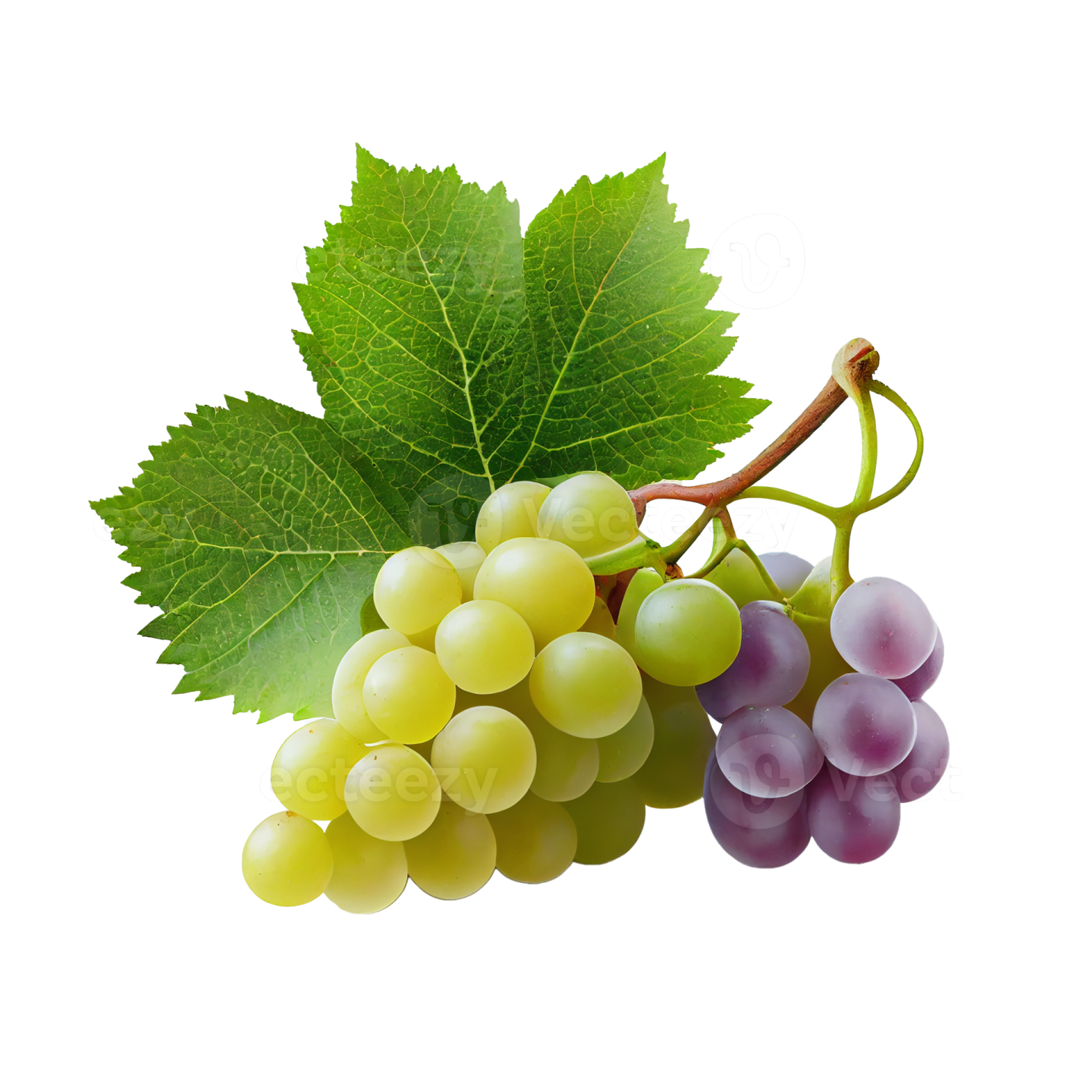 a bunch of grapes with green leaves