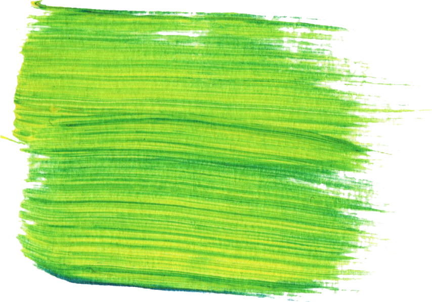 a green brush stroke on a white background