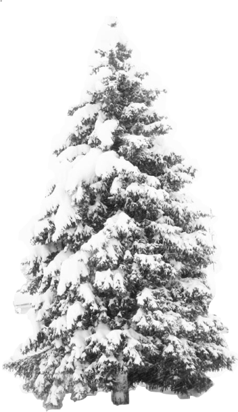 a black and white photo of a snow covered christmas tree