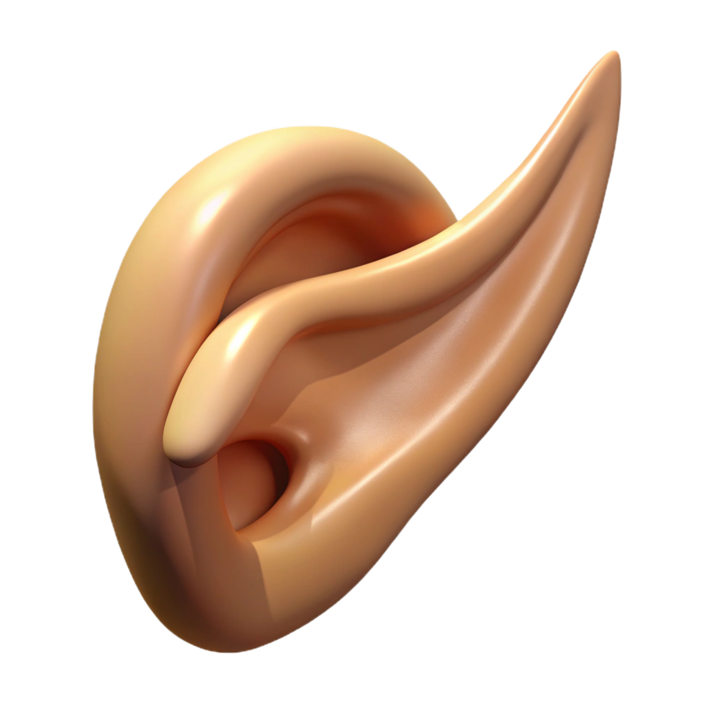 a close up of the ear