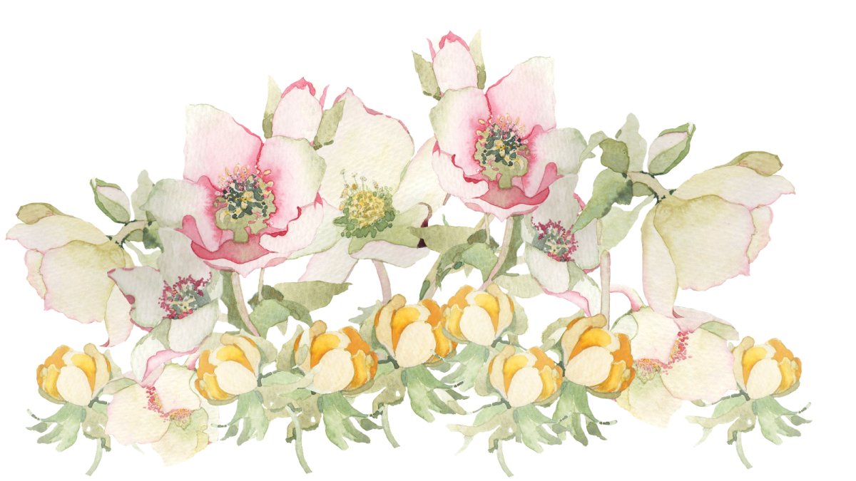 a watercolor painting of pink and yellow flowers