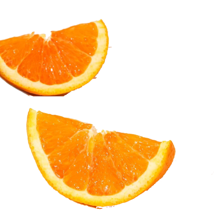 two slices of orange on a white background