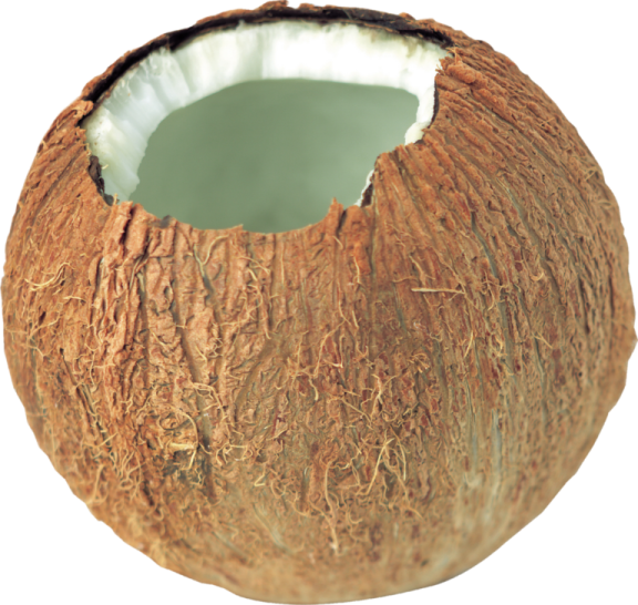 the inside of a coconut