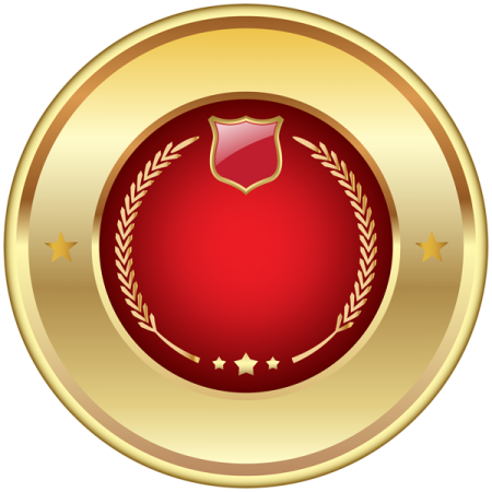 a gold medal with a red ribbon