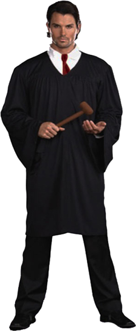 a man in a harry costume holding a wand