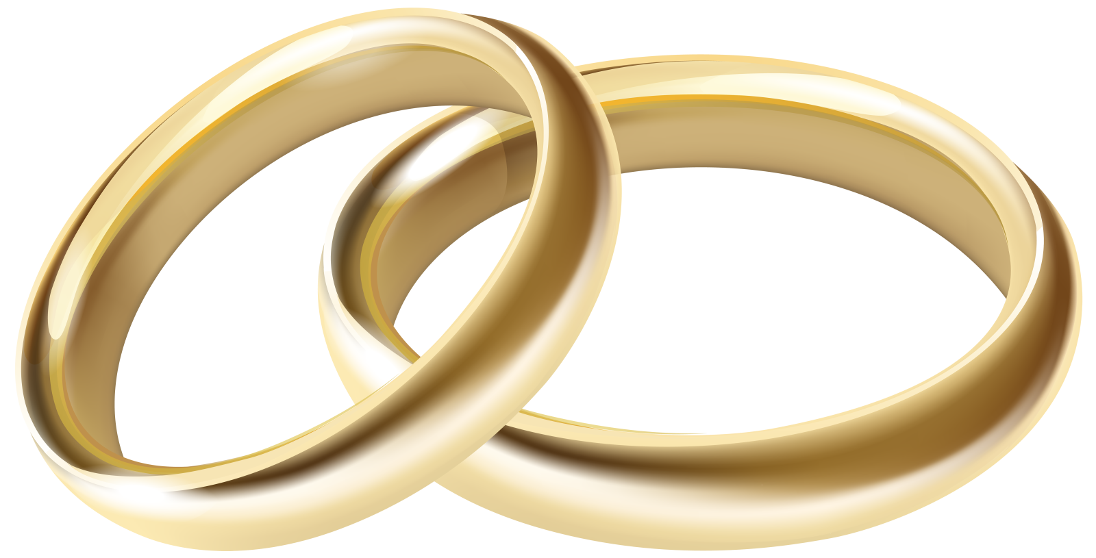 a pair of gold wedding rings