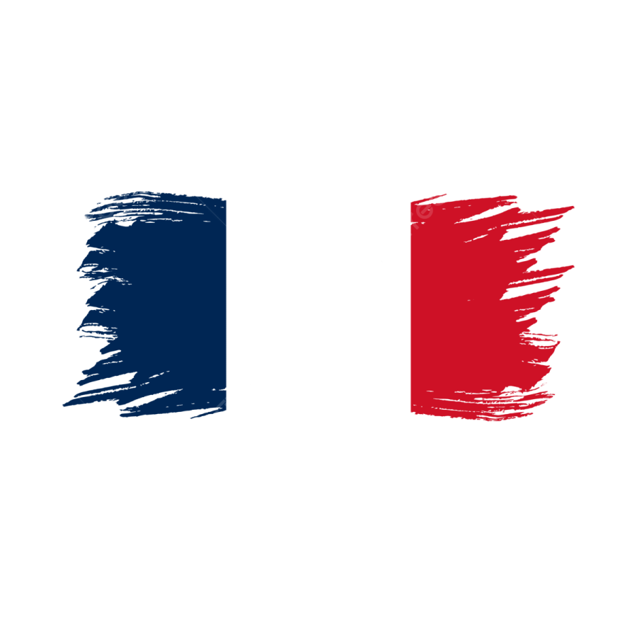 the french flag