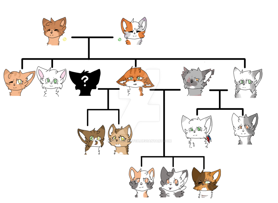 the cat family tree